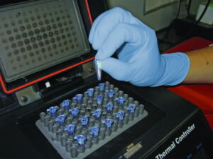 Blurite™ Premium Nitrile Examination Glove6.jpeg