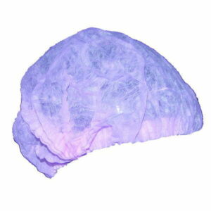 Pleated Bouffant Cap5.jpg